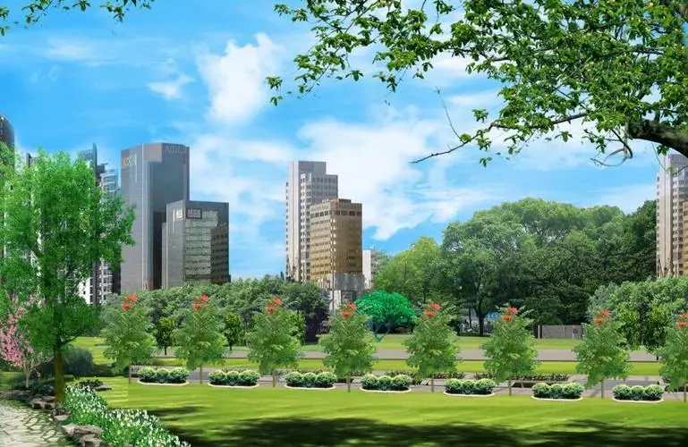 兴化绿化树苗批发市场海棠