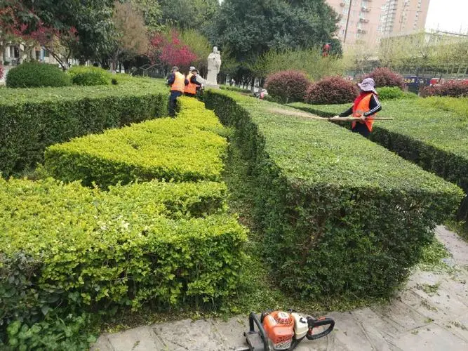 半山悦景园林景观设计