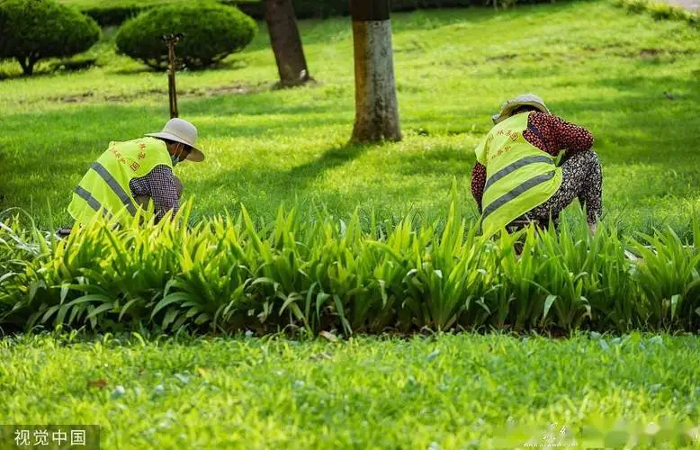 国外园林景观设计师有谁